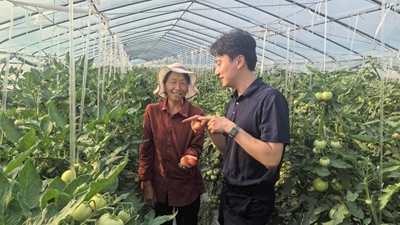 河南蒿坪村：從“煩心村”到“暖心窩”