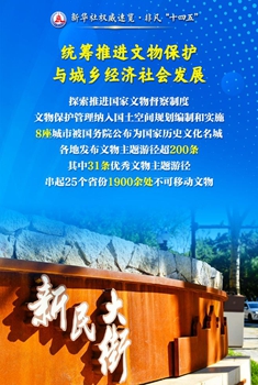 守護(hù)國之瑰寶，筑牢文明根基……看文物事業(yè)歷史性成就