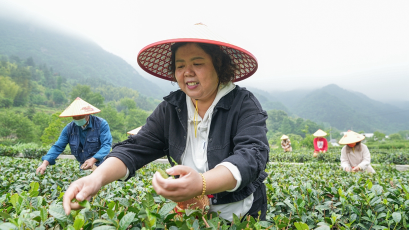 守“綠”換“金”！大別山區(qū)“兩山”實(shí)踐創(chuàng)新基地觀察