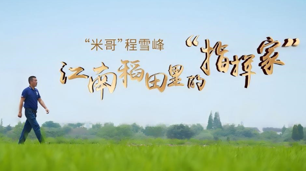 “米哥”程雪峰：江南稻田里的“指揮家”