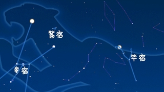 虎年來了，抬頭尋找天上的“白虎”