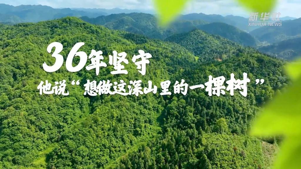36年堅守！他說“想做這深山里的一棵樹”