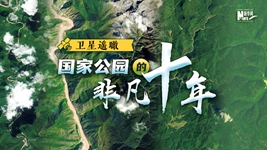 衛(wèi)星遙瞰，國家公園的非凡十年