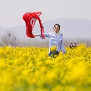 微信分享圖
