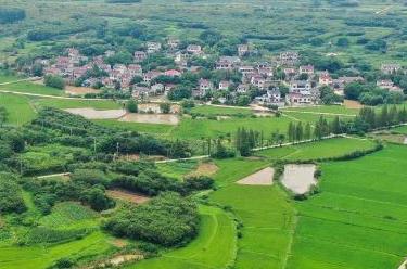 喜迎二十大丨以奮進(jìn)新征程的狀態(tài)和苦干實(shí)干的行動(dòng)，迎接黨的二十大勝利召開——江蘇：奮力邁上新臺(tái)階