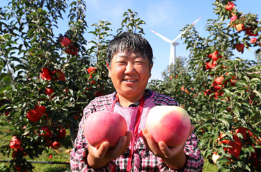 新華全媒+丨糧果豐收在望，農(nóng)民喜上心頭