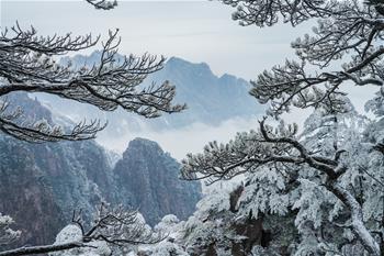 鏡觀(guān)中國(guó)·新華社國(guó)內(nèi)新聞?wù)掌恢芫x