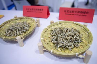 中國首次進口肯尼亞野生鳀魚產(chǎn)品亮相中非經(jīng)貿(mào)博覽會