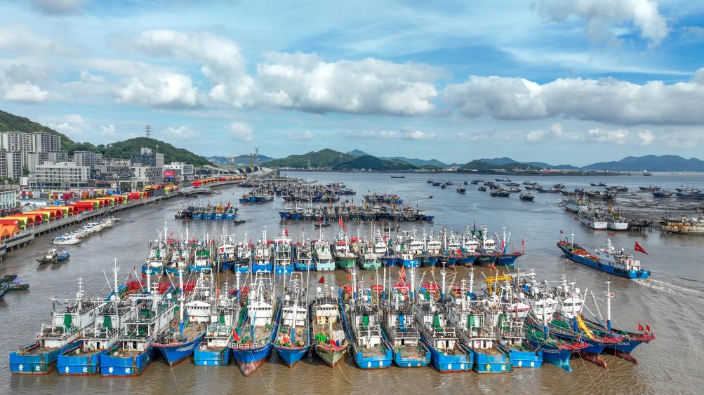 “?？?rdquo;逼近 浙江各地漁船回港避風(fēng)