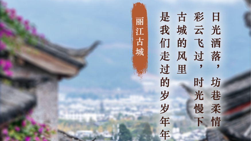 學習進行時丨這些老街舊巷，在時光里綻放芳華