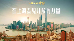 一眼心動(dòng)的中國(guó)丨在上?？匆?jiàn)開(kāi)放的力量