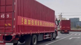 那只“跳進(jìn)”愛心蔬菜包的手機(jī)咋樣啦？請聽刷屏“奇遇”后續(xù)……