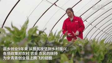 余青青：深耕綠色生態(tài)農業(yè) 引領鄉(xiāng)親增收致富
