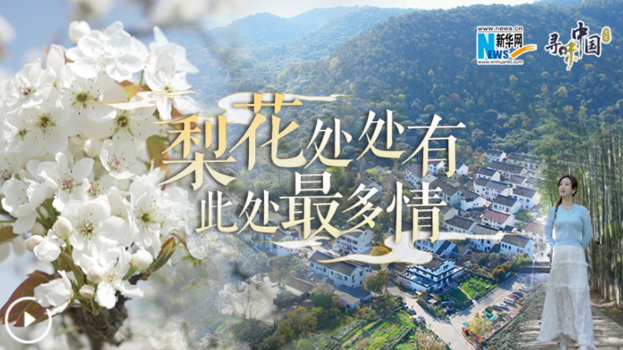梨花處處有，此處最多情