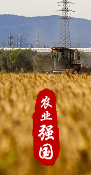 農(nóng)業(yè)強(qiáng)國是社會(huì)主義現(xiàn)代化強(qiáng)國的根基。
