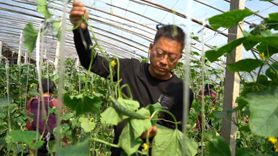 點亮自強(qiáng)自立“心燈”！聽聽這些殘疾人的創(chuàng)業(yè)就業(yè)故事