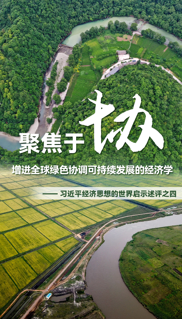 聚焦于“協(xié)”，增進(jìn)全球綠色協(xié)調(diào)可持續(xù)發(fā)展的經(jīng)濟(jì)學(xué)