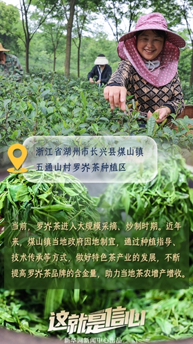 這就是信心丨應季收獲忙！看田間地頭上的增收新路子