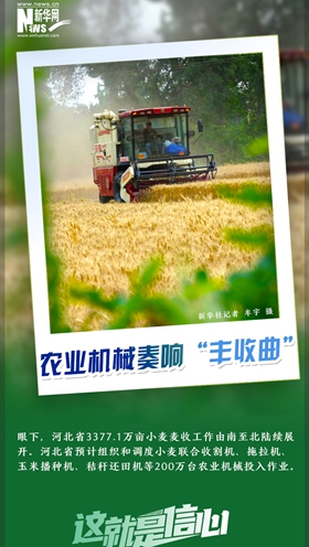 這就是信心｜好一派豐收景象！