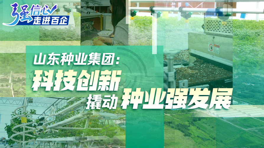 山東種業(yè)集團：科技創(chuàng)新撬動種業(yè)強發(fā)展