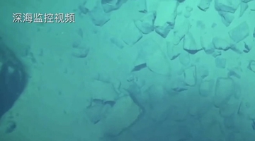 8919米！我國(guó)科學(xué)家首次探底雅浦海溝 成功采集深淵樣本
