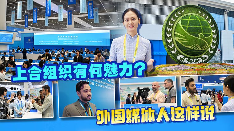 上海合作組織有何魅力？ 外國(guó)媒體人這樣說