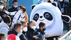 透過“冰墩墩”，感受可愛的中國(guó)