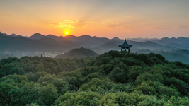 國(guó)際森林日丨提升生態(tài)碳匯能力，植樹(shù)造林怎么干？