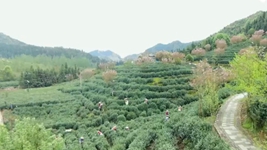 萬象“耕”新！碼住人間四月天