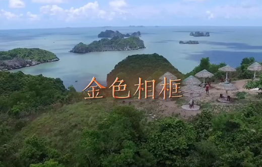 金色相框｜習(xí)近平對(duì)越南進(jìn)行國(guó)事訪(fǎng)問(wèn)